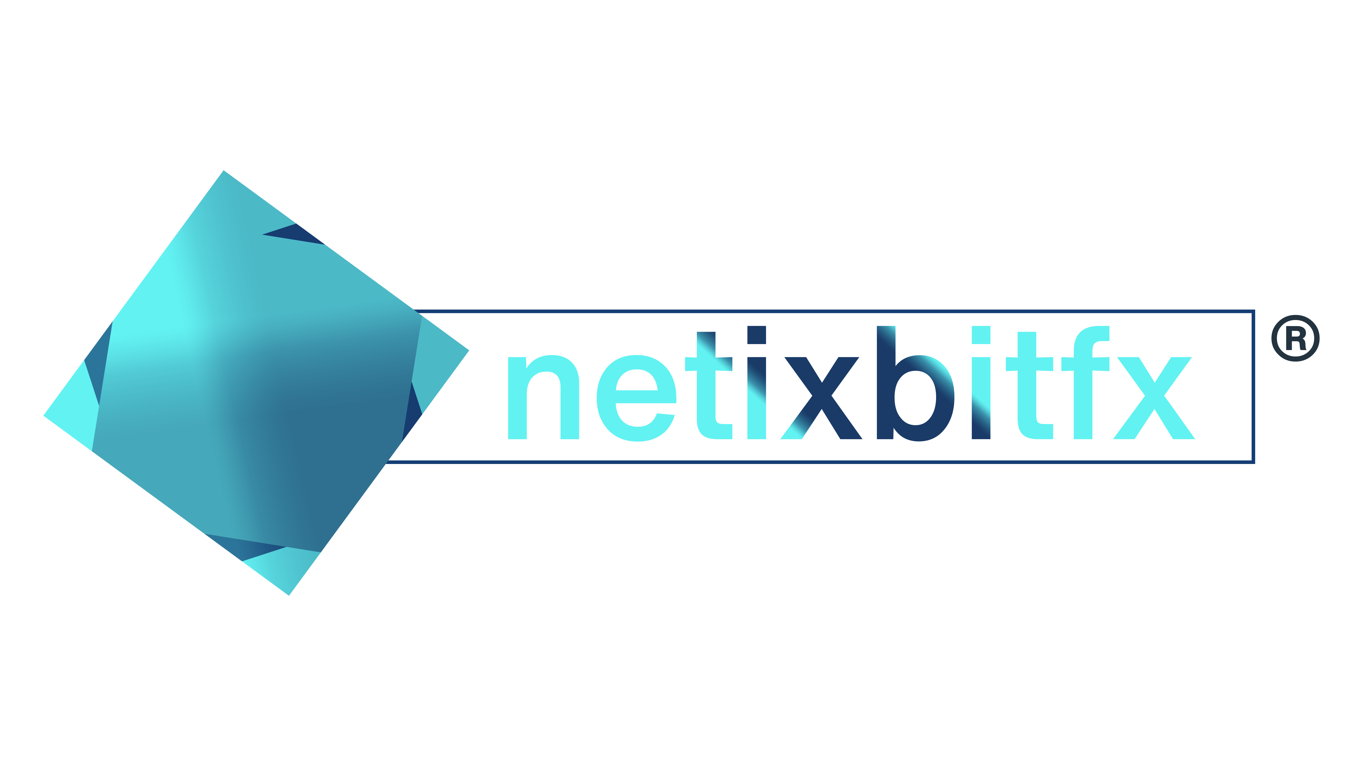 NetixBit Fx